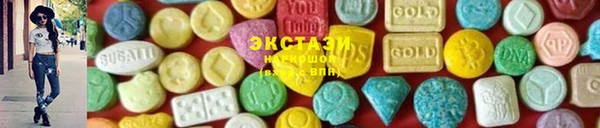 мдпв Вяземский