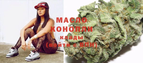 мдпв Вяземский