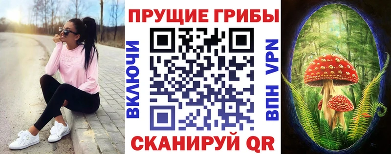 Псилоцибиновые грибы Magic Shrooms  Купить закладки  Козловка 